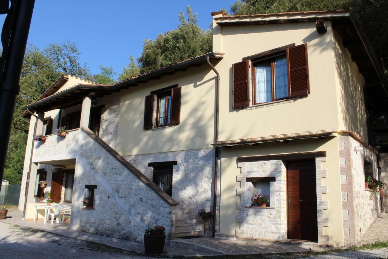 Il Nasciolo Holiday home *