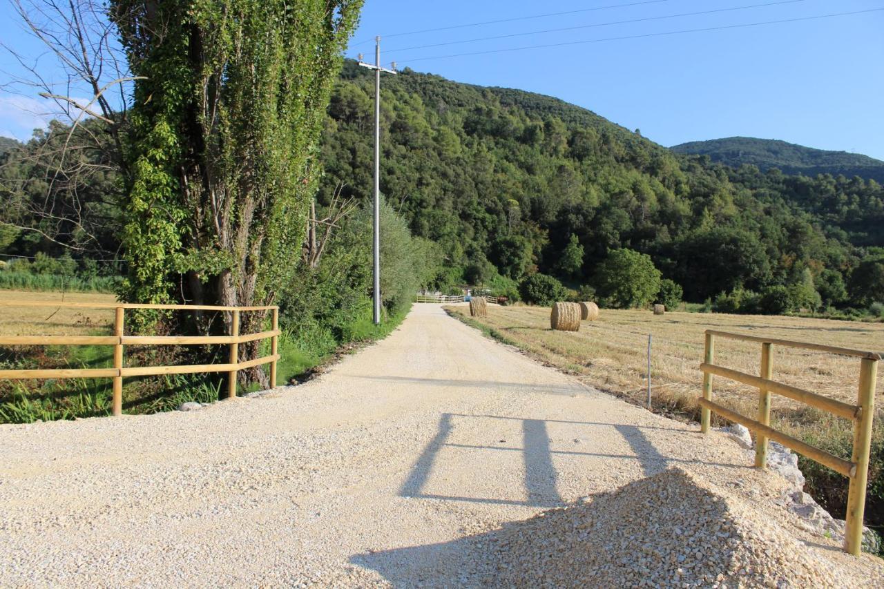 Holiday home Il Nasciolo *
