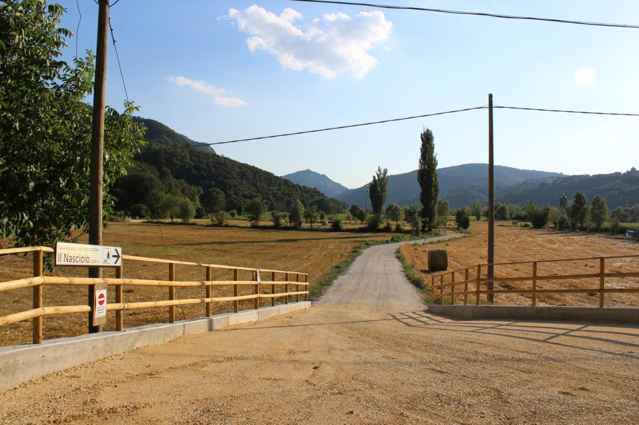 Holiday home Il Nasciolo